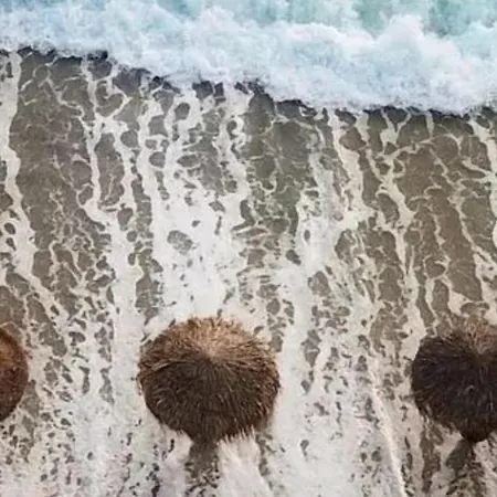 Rania Loft * Argostoli (Kefalonia)